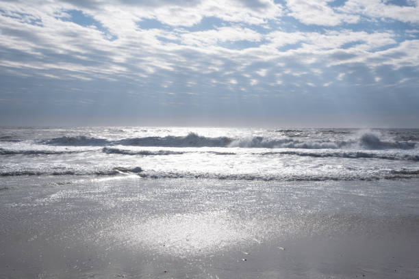 A peaceful scene of a sandy beach with gentle ocean waves rolling in under a clear blue sky. The image captures the serene beauty of the coastline, perfect for conveying relaxation, nature, and the simplicity of the seaside environment.