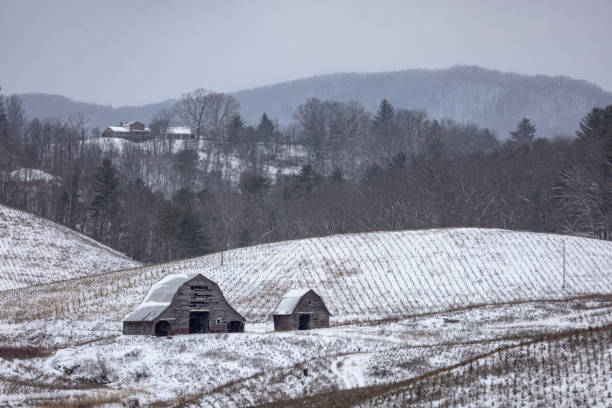 istock Snowy landscape in the Appalachian mountains 2197091977