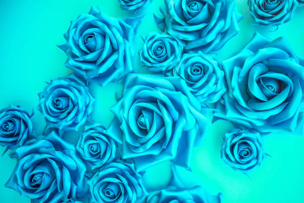 Blue floral background from artificial roses flowers