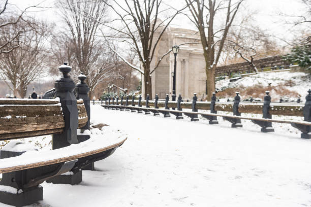 This is a photograph of the Literary Walk benches in Central Park, NYC on a winter day with snow.