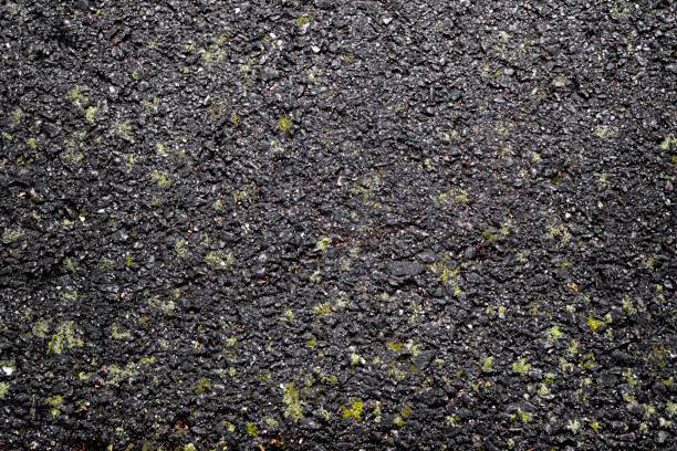 Black pavement with green moss patches