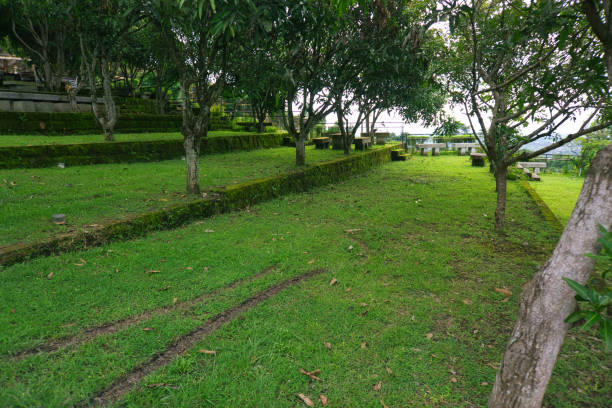 istock Lush Green Park Landscape with Trees and Sunlit Grassy Area 2197099890
