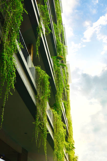 istock Urban Greenery: Building Adorned with Lush Lee Kwan Yew Vines or Curtain Creeper 2197099938