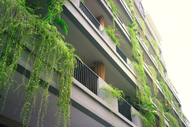 istock Urban Greenery: Building Adorned with Lush Lee Kwan Yew Vines or Curtain Creeper 2197099940