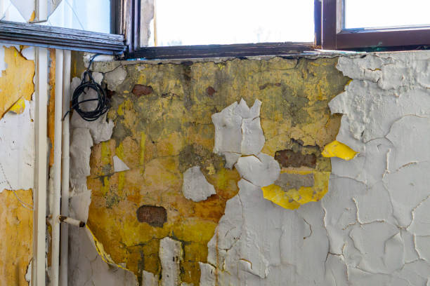 istock concrete texture, old wall with cracks and scratches. peeling and peeling paint on the wall of an old abandoned building. destruction of paint and plaster by moisture. 2197101448
