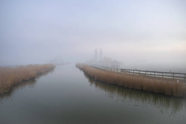 Misty winter morning on the river Rotte in Moerkapelle, north of Rotterdam, Netherlands.