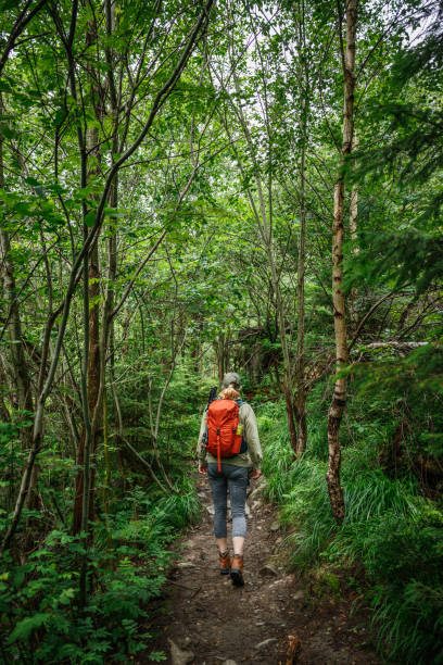 istock Woman hiking in forest 2197103628