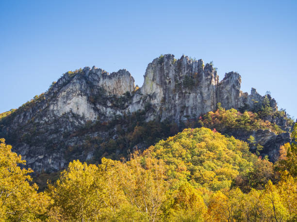 The jagged mountain top of Seneca Rocks, West Virginia, framed by trees in vibrant fall colors and a clear blue sky stock photo
