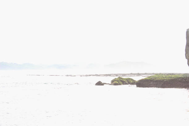 A serene coastal scene showcasing ocean waves, sandy shorelines, and scattered rocky outcrops against the horizon