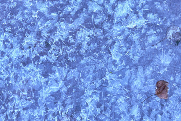 A frozen tree leaf on ice block A frozen tree leaf on ice block. frozen river, empty space, blue, textures, illumination fog transparent stock pictures, royalty-free photos & images