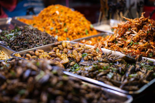 istock Asian foods, deep fried mixed insects. 2197111686
