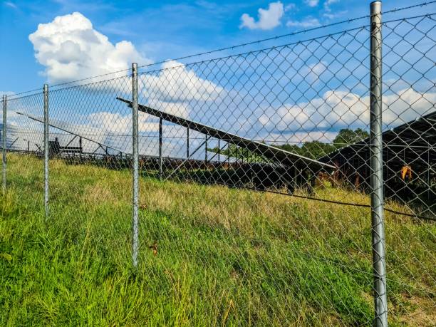 istock Wire mesh fence protecting solar panels in a field 2197111872