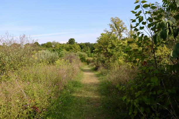 istock Trail in the Prairie 2197113900