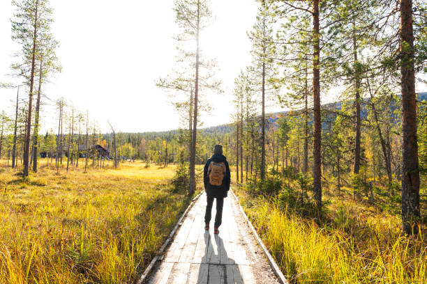 istock Hiker with backpack on the walkway, Finland 2197119971