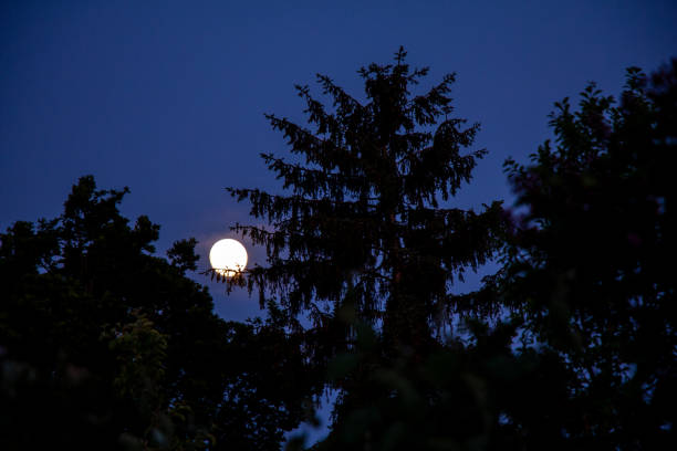 astronomy