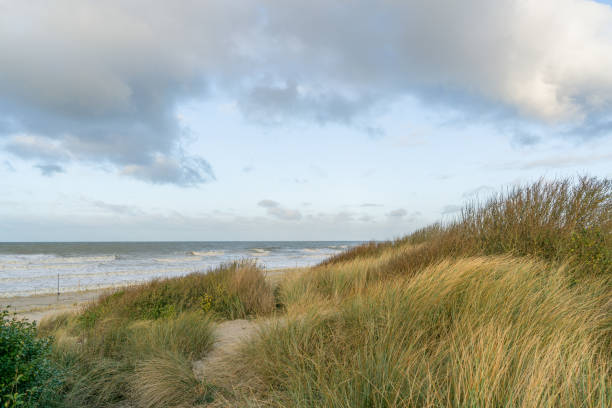 istock Sand dune beach - stock photo 2197122660