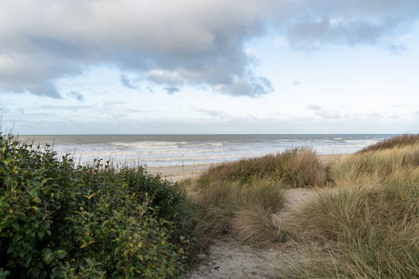 istock Sand dune beach on North sea 2197122671