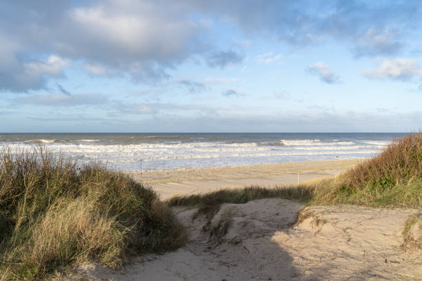 istock Coastal sand dunes with marram grass near a beach 2197122687