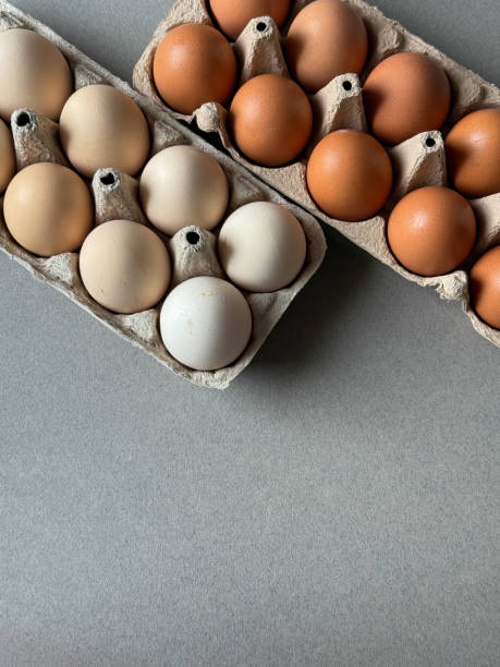 istock Brown and white chicken eggs in a paper trays top view 2197125271