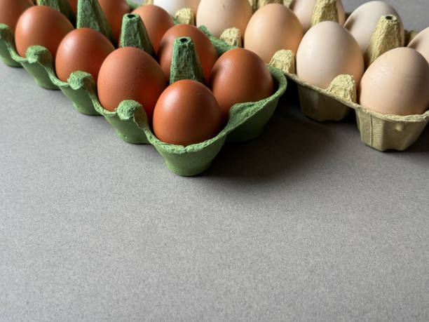istock Brown and white chicken eggs in green paper trays side view with copy space 2197125273