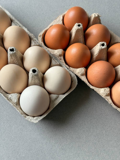 istock Brown and white chicken eggs in a paper trays on grey background top view 2197125277