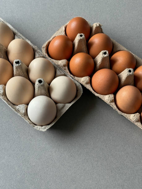 istock Brown and white chicken eggs in a paper trays on minimalistic grey background 2197125361