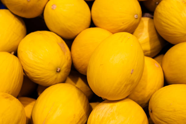 istock Honey melons for sale in a shop.. 2197126947
