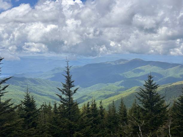 istock Great Smoky Mountains wooded overlook 2197129142