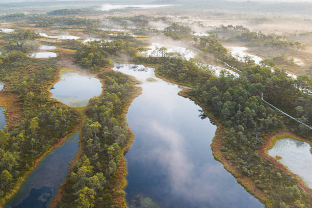 istock Mysterious labyrinth: a drone's eye view of a misty bog in Estonia. 2197131994