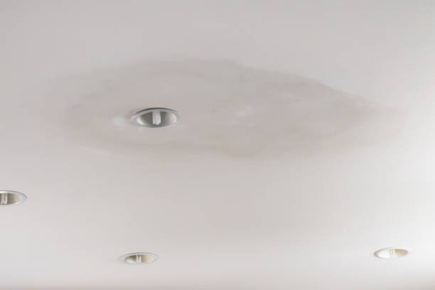 istock Damage to ceiling drywall after roof leak 2197133695