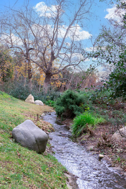 istock A small creek running through the woods in fall 2197133863