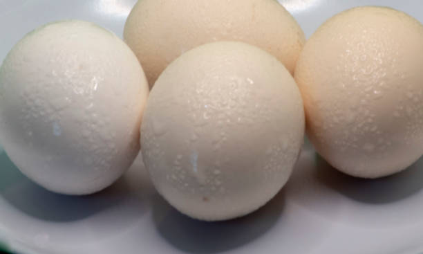 istock Photograph, white and wet freezing eggs were placed on a plate 2197137447