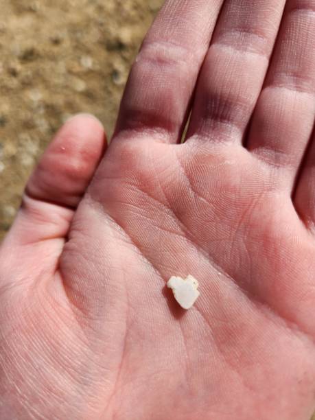 istock Tiny heart shaped rock in the palm of hand 2197137662