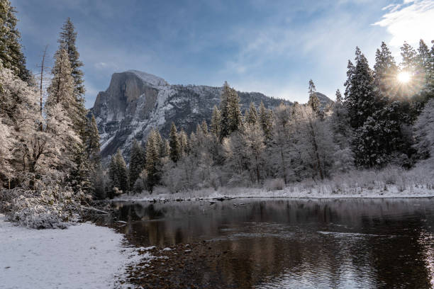 Half Dome towers above Yosemite Valley, viewed from the bank of an icy river. Fresh winter snow rests on the pine trees on the valley floor. The morning sun rises through the pines.