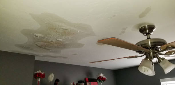 Water-Damaged Ceiling with Bubbling and Stains