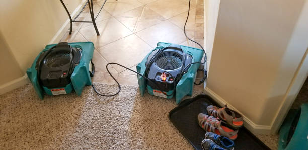 istock Air Movers Drying Carpet and Tile Flooring During Restoration 2197142513