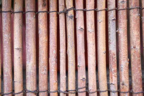 istock Rustic bamboo fence texture with natural wooden sticks and rough surface pattern 2197143320