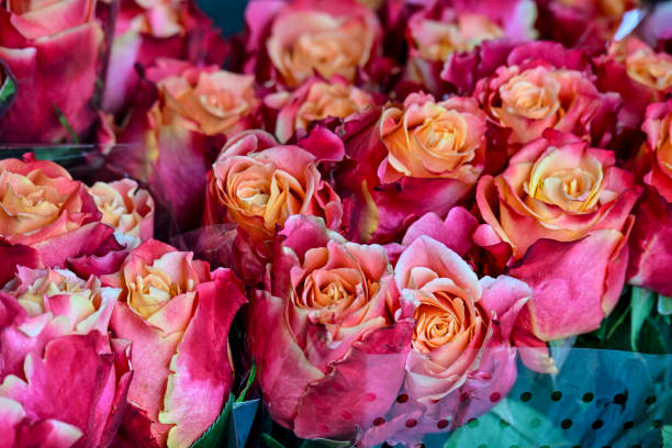 istock Red roses ready to be sold 2197146325