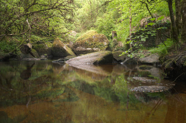 istock Photography of ancient forest in Brittany-rocks-moss-trees and river 2197147087