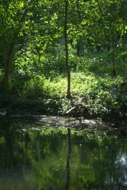 istock Water in the Portuguese state. 2197153575