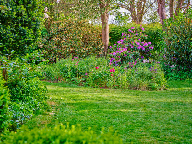 istock Photos from my garden 2197156740