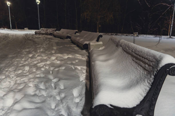 Snow covers empty park benches at night. Street lights, a snow-covered path, footprints in the snow and trees are visible, creating a calm winter atmosphere