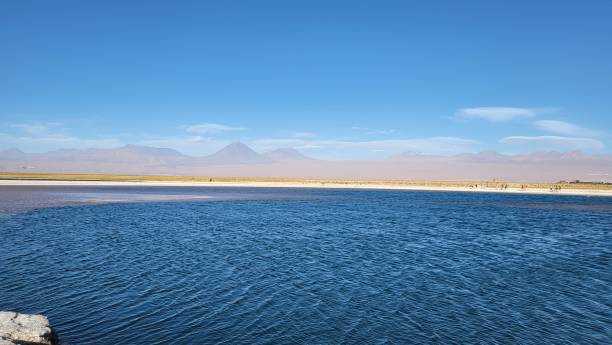 istock View of Laguna Cejar 2197168325