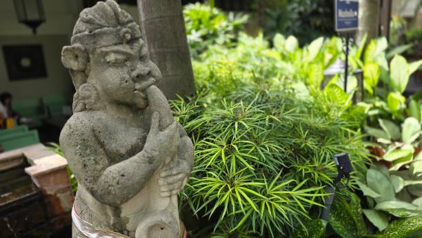 istock Garden Gnome traditional stone statue situated in a tranquil tropical garden, surrounded by vibrant foliage and artistic decor, harmonizing with the natural beauty of its environment 2197175496