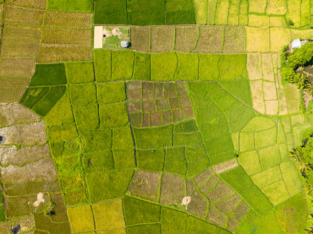 istock Farmlands and rice fields in Camiguin Island. Philippines. 2197175573