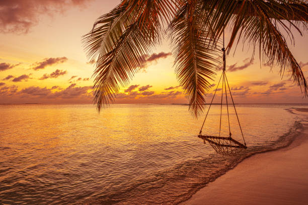 istock Swing hanging from coconut palm tree on tropical paradise beach during the sunset 2197178419