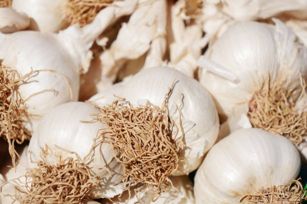 istock close up pf garlic on white background, 2197179736