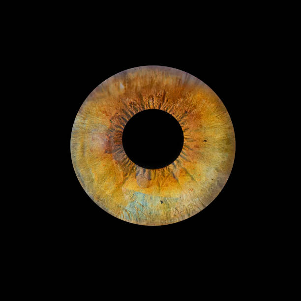 istock Vivid Macro Eye Detail 2197180405