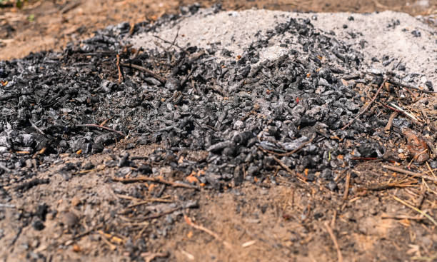 istock wood ashes on the ground after the fire 2197182534