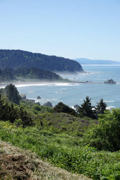 istock Coastal vista: ocean, cliffs, and lush greenery at Crescent city, North California 2197184460